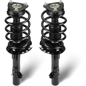 Front Struts Assembly w/Coil Spring Shock Absorber Compatible with Ford Escape 2014-2019, Replace for 172751 172750