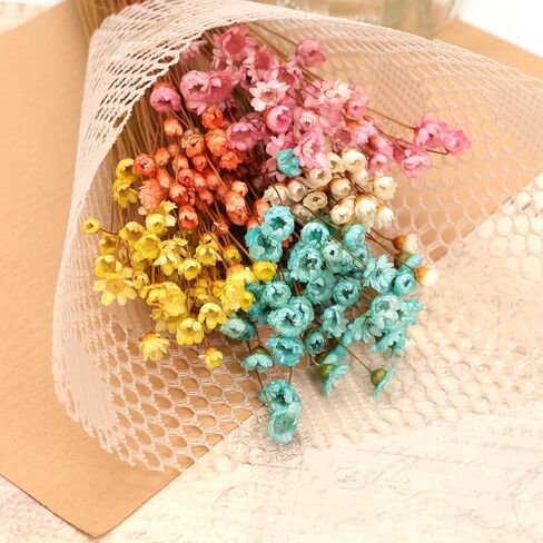 250 Stems Dried Flowers Dry Flowers Decorative Chamomile Bouquet Dried Flowers for Home Decorations Wedding Floral Arrangements in Saudi Arabia