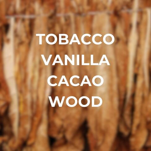 Car Air Freshener - Man Cave Tobacco & Vanilla Scent – Premium Hanging Diffuser, Long-Lasting Fragrance for Car, Home, or Office, Non-Toxic & Refillable, 2-Pack in Saudi Arabia