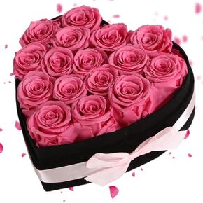 Luxury Forever Real Roses in Suede Box - 16-Piece Preserved Flowers Roses Gifts for Delivery Prime Birthday, Valentines's Day, Mother's Day,Anniversary, Graduation Gifts for Her (Red)