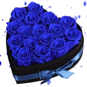 Luxury Forever Real Roses in Suede Box - 16-Piece Preserved Flowers Roses Gifts for Delivery Prime Birthday, Valentines's Day, Mother's Day,Anniversary, Graduation Gifts for Her (Red)