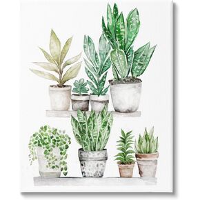 Stupell Industries Mixed Greenery Potted Ivy Plants Canvas Wall Art, Design by Ziwei Li