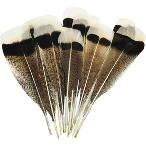 Natural Twist Turkey Feather LUORNG 10PCS 20-25cm/7.87-9.84inch Precious Turkey Tail Feathers for DIY Costume Headress