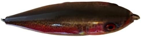 6.5" Wood Boog Top Water Lure Bass Musky Striper Fishing Bomber Wooden Topwater Popper Plopper Kit for Freshwater or Saltwater in Kuwait