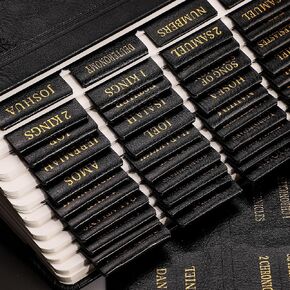 RETTACY Bible Tabs, Leather Bible Tabs, Large Size, Bible Tabs for Men, Bible Study Supplies, 66 Bible Tabs for Old and New Testament, Additional 21 Tabs for Apocrypha, 9 Blank Tabs (Brown)