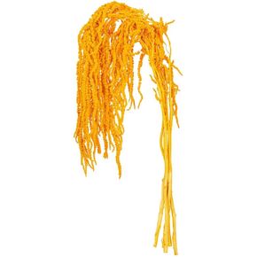 Vickerman 16-20" Natural Dried Orange Amaranthus Bundle, 3.5 oz.