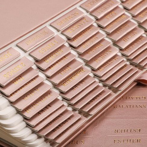 RETTACY Bible Tabs, Leather Bible Tabs, Large Size, Bible Tabs for Men, Bible Study Supplies, 66 Bible Tabs for Old and New Testament, Additional 21 Tabs for Apocrypha, 9 Blank Tabs (Brown) in Kuwait