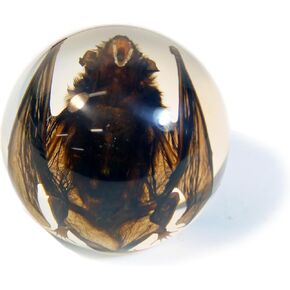 REALBUG Bat Globe