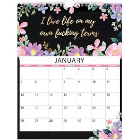 2025 Calendar - 2025 Fu-ck it Calendar for Women, 2025 Wall Calendar from January to December, Funny Calnedar with Premium Paper, 9'' x 11'' Gag Gifts