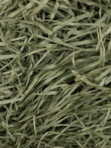 إمدادات المياه السحرية - 1/2 رطل - مريمية - حشو ورق مجعد ناعم ورقيق ومقطع رائع لتغليف الهدايا، وحشو السلة، وأعياد الميلاد، وحفلات الزفاف، والذكرى السنوية، وعيد الحب in Kuwait