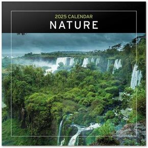 Retro Sci-Fi Wall Calendar 2025 12" x 12" FSC® Plastic Free - Starts Week On Sunday | Square Wall Calendar | Family Planner Calendar 2025 | Vintage Calendar 2025