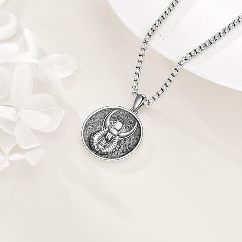 Egyptian Necklace 925 Sterling Silver Anubis Ankh Eye of Horus Necklace Egypt Scarab Pendant Jewelry Gift for Men Women in Saudi Arabia
