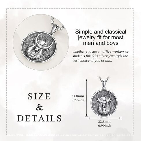 Egyptian Necklace 925 Sterling Silver Anubis Ankh Eye of Horus Necklace Egypt Scarab Pendant Jewelry Gift for Men Women in Saudi Arabia