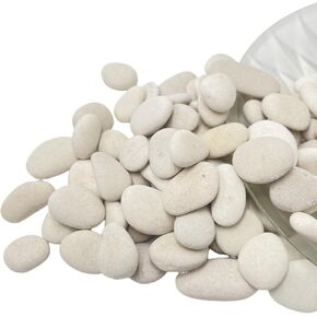 CYLHCM 30 PCS White Rocks for Painting, 2"-3" Flat DIY Painting Rocks, Large Smooth Rocks for Crafts, Arts,Decoration, Kindness Rocks Hand Picked for Painting