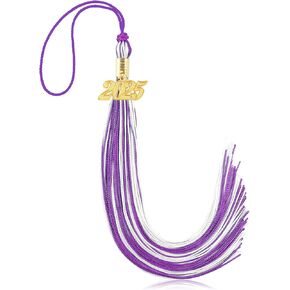 2025 Tassel Graduation, Tassel Charms for Graduation Cap, 2025 Graduation Tassel, 2025 Tassel Charm Memorial Cords Graduation Cap Decorations Class of 2025 High School Grad Party Decorations Purple
