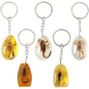 5Pcs Creative Amber Insect Scorpion Keychain for men Pendants Amber Decors