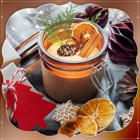 Nuanchu 35 oz Gel Wax Candle Making Kit Clear Jelly Wax Christmas Transparent Scented Gel Candle Wax with Candle Wicks and Centering Device Dried Orange Slices Spice Plants for DIY Candle Supplies in Saudi Arabia