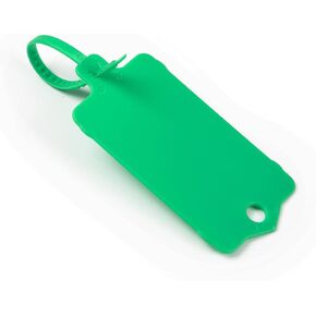 LeadSeals 100pcs Blank Plastic Tags for Labeling Reusable Hanging Tags Ties Key Tags Storage Tags Waterproof Plastic Mark Label Writable Hang Sign (Green)