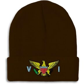 Custom Beanies for Men Virgin Island Flag Seal Embroidery Winter Hats for Women Acrylic Skull Cap 1 Size