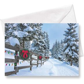 Current Mary's Woodland Christmas Greeting Cards Set © Mary Engelbreit - Set of 18 Large 5 x 7-Inch Folded Cards, Themed Holiday Card Value Pack, Envelopes Included