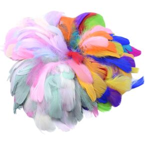 300pcs 2.5-5 inch Colorful Craft Rooster Feathers for Craft Wedding Home Party Decorations DIY Crafts Dream Catcher Supplies (Multicolored 300pcs)