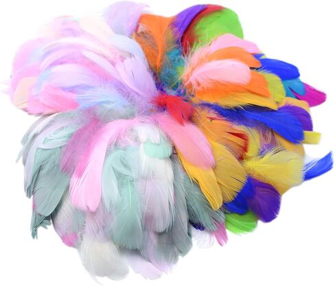 300pcs 2.5-5 inch Colorful Craft Rooster Feathers for Craft Wedding Home Party Decorations DIY Crafts Dream Catcher Supplies (Multicolored 300pcs) in Saudi Arabia
