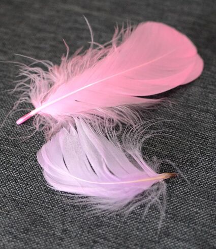 300pcs 2.5-5 inch Colorful Craft Rooster Feathers for Craft Wedding Home Party Decorations DIY Crafts Dream Catcher Supplies (Multicolored 300pcs) in Saudi Arabia