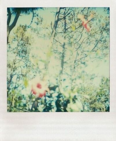 Paris in Color Notes: 20 Assorted Notecards and Envelopes (Paris Photography Stationery, Gift for Francophile) in Kuwait