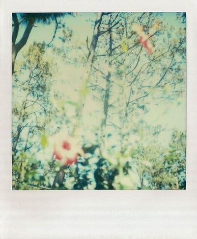 Paris in Color Notes: 20 Assorted Notecards and Envelopes (Paris Photography Stationery, Gift for Francophile) in Kuwait