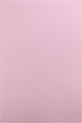 أوراق Hygloss من الفوم الملون للفنون والحرف اليدوية، مقاس 30.48 سم × 45.72 سم، خوخي، 10 قطع in Kuwait