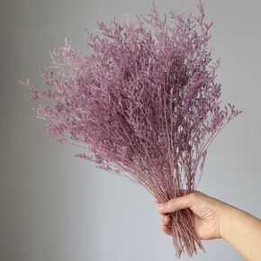Preserved Limonium Flower,Caspia Bellidifolium,Lover's Grass,Immortal Grass,Pure Natural Flowers for Wedding Home Décor,Wedding Party Decoration (Pink)