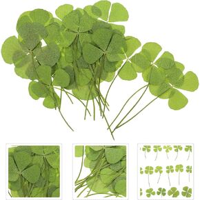 24pcs Dried Leaves and Flowers Candle Making Flower Dried Petals Real Dried Shamrocks Shamrock Charms Four Leaf 4 Leaf Molds for Resin Epoxy Dried Sunflower