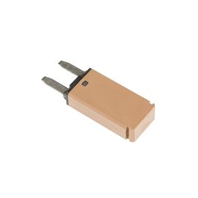 GLOSO Mini ATM Circuit Breakers E72 20A Type 2 Modified Reset (T2)