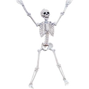 GiftExpress 36" Realistic Posable Full Human Body Skeleton with Movable Limbs Jaws, Reposable Head, Hands and Legs Halloween Skull and Skeleton Decoration and Haunted Spooky House Props