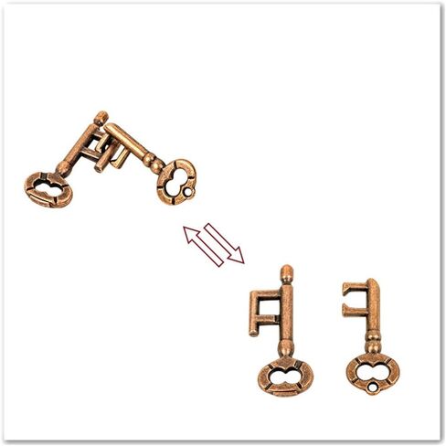 Cooplay 2 Set Metal Brain Teaser Puzzle, Assembly & Disentanglement Puzzles, IQ Logical Games, Fidget Stress Prop Gift for Adults (Key) in Saudi Arabia