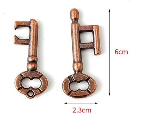 Cooplay 2 Set Metal Brain Teaser Puzzle, Assembly & Disentanglement Puzzles, IQ Logical Games, Fidget Stress Prop Gift for Adults (Key) in Saudi Arabia