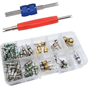 102PCS Air Conditioner Valve Core Accessories A/C R12 R134a Refrigeration Tire Valve Stem Cores Repair Kit