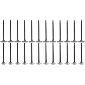 DNJ VK24802 Exhaust Intake Valve Kit for 2009 to 2015 Audi, Volkswagen V6 3.0L DOHC 24V EV802 X12 IV814 X12