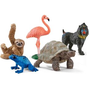 Schleich Wild Animals Realistic Animal Toys 5-Piece Exotic Animal Starter Set with Flamingo, Sloth, Poison Dart Frog, Giant Tortoise and Mandrills Animal Figurines