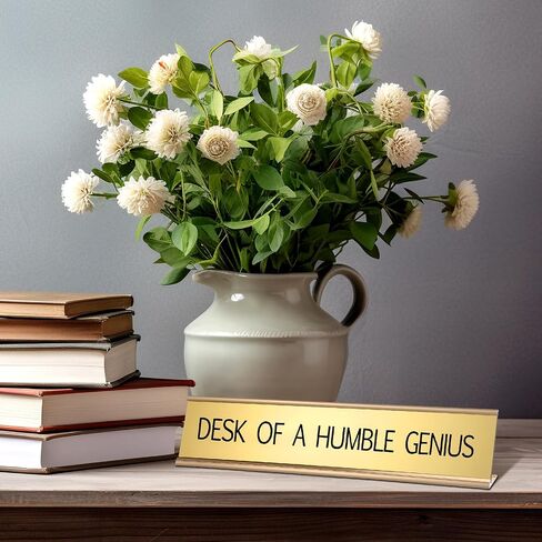 Funny Desk Signs for Office Novelty Nameplate Funny Desk Name Plates with Black Base Funny Desk Accessories for Work Coworker Gift Office Home Desk Supply, 10 x 2 Inch (Chaos Coordinator) in Saudi Arabia