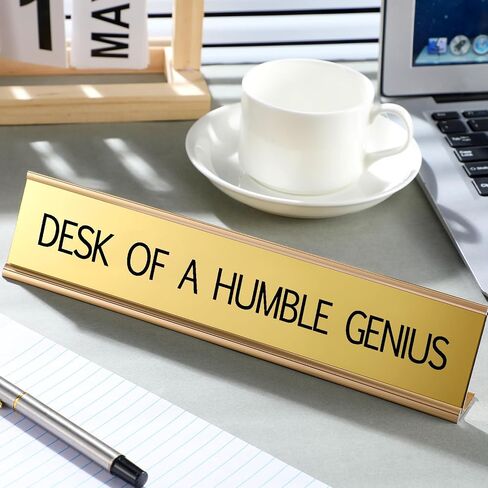 Funny Desk Signs for Office Novelty Nameplate Funny Desk Name Plates with Black Base Funny Desk Accessories for Work Coworker Gift Office Home Desk Supply, 10 x 2 Inch (Chaos Coordinator) in Saudi Arabia