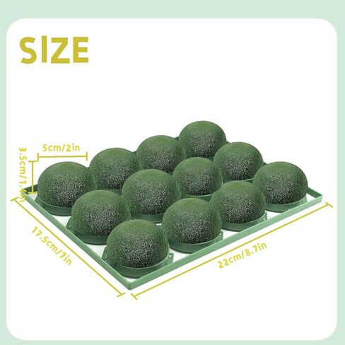 12 قطعة من حامل الإسفنج الزهري الصغير مع لفة واحدة من شريط الزهور الأبيض ورغوة الزهور المستديرة للزهور الطازجة ومستلزمات ترتيب الزهور ورغوة الزهور الخضراء لتزيين زجاجة نبيذ الزفاف in Kuwait