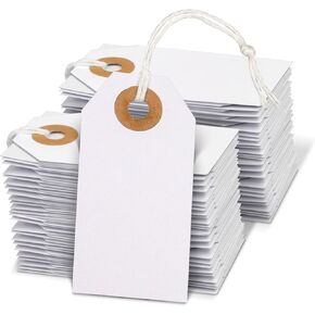 Price Tags with String, 100 pcs Kraft Paper Small Hang Tags, Tags for Labeling, Blank Price Tags for Inventory Tags