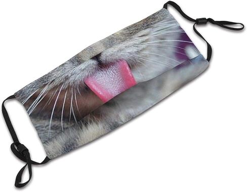 Funny Cat With Tongue Face Mask With Pocket Washable Cloth Face Bandanas Balaclava Comfortable Reusable Fabric Mask With 2 Pcs Filter in Saudi Arabia