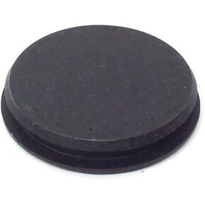 Ford Plug