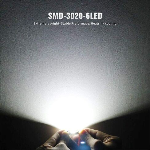 SIRIUSLED فائقة السطوع 3020 شرائح Canbus مصابيح LED خالية من الأخطاء لمصابيح السيارة الداخلية لوحة ترخيص قبة 1.25 بوصة 31 مم فسطون 3175 DE3175 6000K حزمة بيضاء من 2 in Kuwait