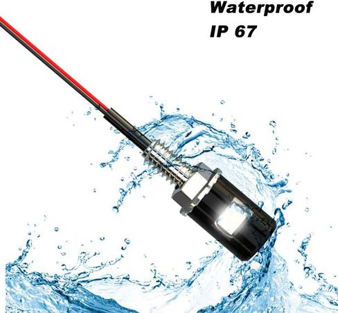 WEIMELTOY لوحة ترخيص الضوء، علامة الترخيص المسمار الترباس LED، سوبر مشرق 12V للماء لوحة ترخيص LED لمبة دراجة نارية أضواء العلامة القانونية لدراجة نارية دراجة شاحنة RV ATV، أبيض بارد (2PCS) in Kuwait