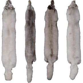 Real Tanned Blue Fox Hide Fur Pelt Crafts Real Fox Skin Fur Taxidermy Decor Graded 1 Quality Full Body Fur Pelt for Fly Tying Crafts Fur Coats Trapping 44-49 inch Blue