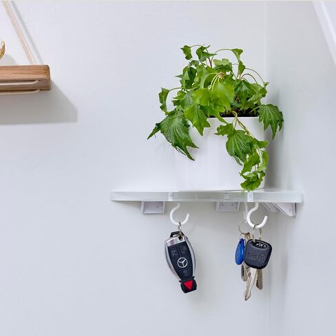 Acrylic Shelf - Clear Acrylic Shelf with J-Hooks - Floating Wall Mounted Shelf for Bedroom, Living Room, Bathroom, Kitchen, and Office - Clear/White (11.5 inch) in Saudi Arabia