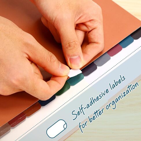 Honoson 24 Sets 8 Tab Binder Dividers for 3 Ring Binders 8.5 x 11 Inch Paper Multicolor Dividers with Plastic Film 3 Hole Punched Page Dividers Sturdy Binder Index Dividers for School (Multicolored) in Saudi Arabia